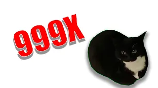 Maxwell Cat But it's 999x Speed