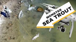 GIANT sea TROUT caught on DRONE! (Coastal fly fishing for sea run brown trout at Bornholm, Denmark)