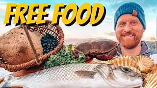 Coastal Foraging - Fish (Bass), Crab, Plus Wild Edibles & A Cook Up 😋