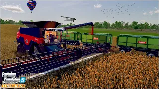Harvesting Sorghum. Combining Four Fields Into One | #Zielonka Ep.37 | #FS22 PREMIUM EXPANSION