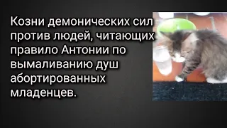 Козни демон.сил против людей, читающих прав. Антонии по вым-нию душ аборт-х младенцев. Свид.Людмилы.