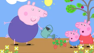 Peppa Pig in Hindi - Gaardaning - हिंदी Kahaniya - Hindi Cartoons for Kids