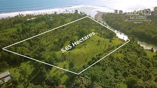 Expansive Riverfront & Ocean Views 5,65 Hectares Land For Sale in Bali