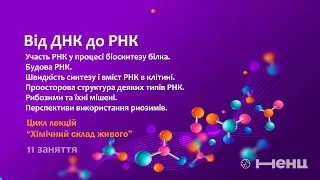 Хімічний склад живого IX. Від ДНК до РНК.