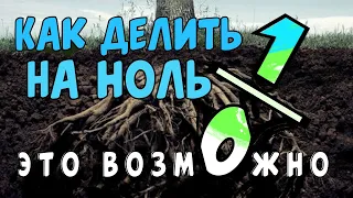 КОГДА ДЕЛИТЬ НА НОЛЬ МОЖНО, А КОГДА - НЕЛЬЗЯ?  | Научпоп