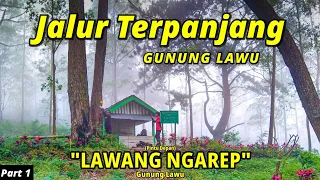 Pendakian GUNUNG LAWU via JOGOROGO - 3x Lipat jalur Lawu via Cemoro Sewu