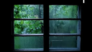 Paul Mauriat Sympathy | Relaxing music Rain in window