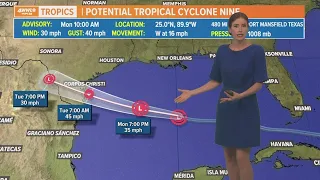 Monday noon tropical update: Disturbance could be a tropical storm when it reaches Texas