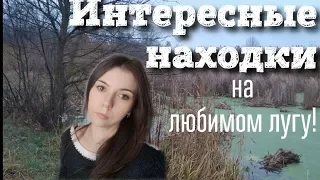 Коп 2019. Интересные находки на любимом лугу!