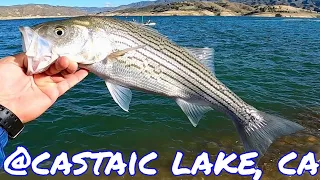 Active Striper Bite @Castaic Lake CA | Spring Season Fishing Report | April 2022