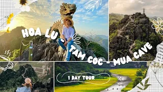 Ninh Binh 1 day tour [ Hoa Lu - Tam Coc - Mua Cave ]