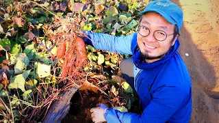 Le quotidien d'un agriculteur au Japon !