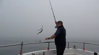 Bait Fishing for Mackerel at Whitby
