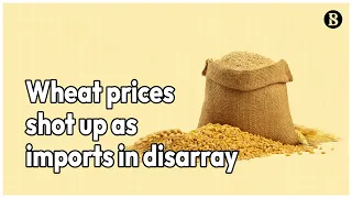 Wheat prices shot up as imports in disarray