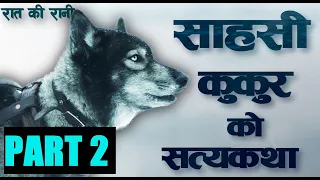 Hachi जस्तै अर्को कुकुर TOGO को सत्यकथा  TOGO Movie Explained in Nepali | Raat ki Rani