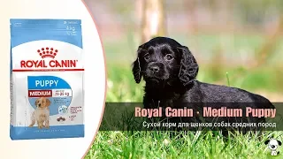 Сухой корм для щенков собак средних пород от 2 до 12 месяцев · Royal Canin Medium Puppy