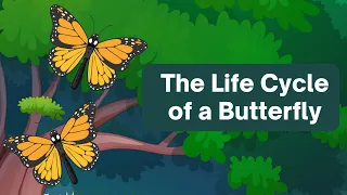 The Butterfly Life Cycle - A Captivating PowerPoint Presentation