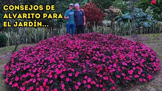 Convive con las PLANTAS y serás FELIZ, una casa sin JARDÍN esta MUERTA |AP