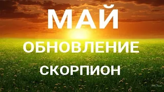 СКОРПИОН - МАЙ 2023. Что новое войдёт в вашу жизнь. Таро прогноз на месяц от ТАТЬЯНЫ КЛЕВЕР.