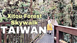 WALK ON THE SKYWALK |XITOU FOREST RECREATION PARK | DIY TRAVEL