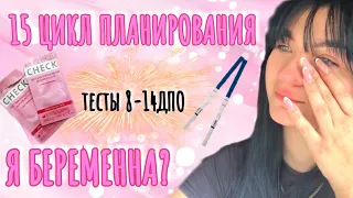 15 ЦИКЛ ПЛАНИРОВАНИЯ. ДЕЛАЮ ТЕСТЫ НА БЕРЕМЕННОСТЬ. ПОБЕДНЫЙ ЦИКЛ?🤰🏻