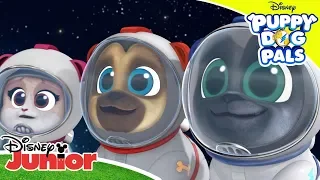 Space Adventure 🚀 | Puppy Dog Pals 🐶 | Disney Junior Arabia