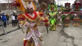 2019 Mummers Parade!