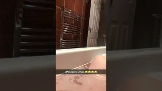 dog interrupts bath