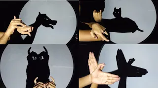 Hand Shadow Puppets | Very Interesting Video