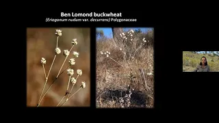 Fire and the Bonny Doon Ecological Reserve with Dr. Jodi McGraw