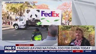 FedEx trucks carry DC’s giant pandas from the National Zoo to Dulles