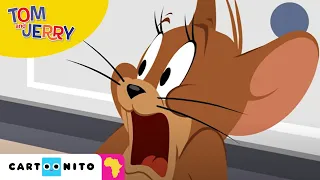Tom and Jerry: Trapped | Cartoonito Africa