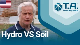 Timelapse experience : Hydropony Vs Soil with William Texier