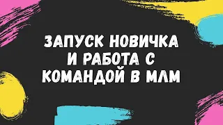 Запуск новичка и работа с командой в МЛМ