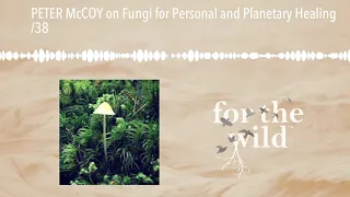 PETER McCOY on Fungi for Personal and Planetary Healing /38