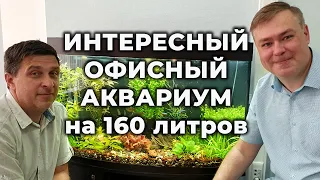 Очень интересный офисный аквариум травник  Обзор