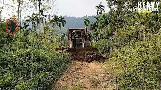 Caterpillar D6R XL bulldozer operator is very good at working to widen plantation roads