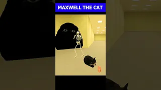 Maxwell The Cat Dancing Song 🐈Angry munci #maxwellcat #meme #memes