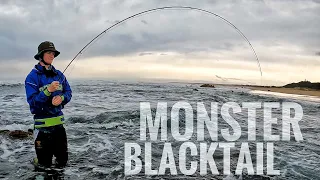 Many Monster Blacktail! (Epic Light Tackle Fishing South Africa 🇿🇦 )