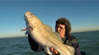 Winter Boat Fishing for BIG COD, CONGER EELS AND RAYS!