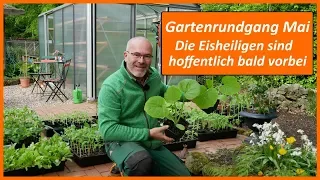 Gartenrundgang Mai - Die Eisheiligen sind hoffentlich bald vorbei :-)