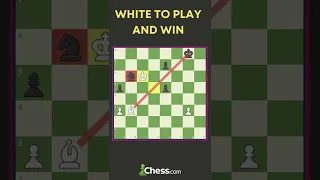 Tom & Jerry Chase In Chess Puzzle