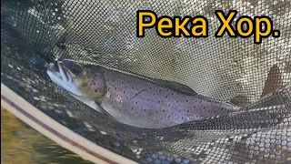 Река Хор. Рыбалка на реке Хор. Ленок. Хариус.