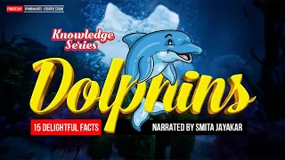 15 Delightful Facts About Dolphins