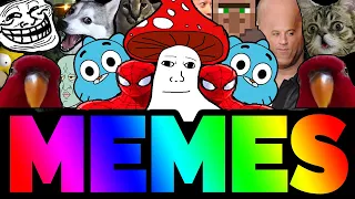 BEST MEMES COMPILATION V37