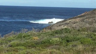 Giant Southern Ocean Waves, Peaceful Bay