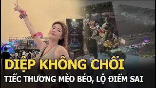 Diệp không chổi tiếc thương Mèo Béo, lộ điểm sai