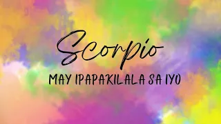 Yung next person ang mag kocommit sa iyo. #scorpio #tagalogtarotreading #horoscope