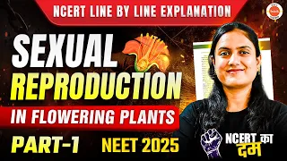 Sexual Reproduction in Flowering Plants Class 12 | NCERT Line by Line Explanation | L-1 | NEET 2025