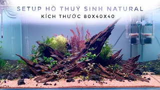 Setup Hồ Thủy Sinh phong cách Natural 80x40x40 bố cục lũa săn đá